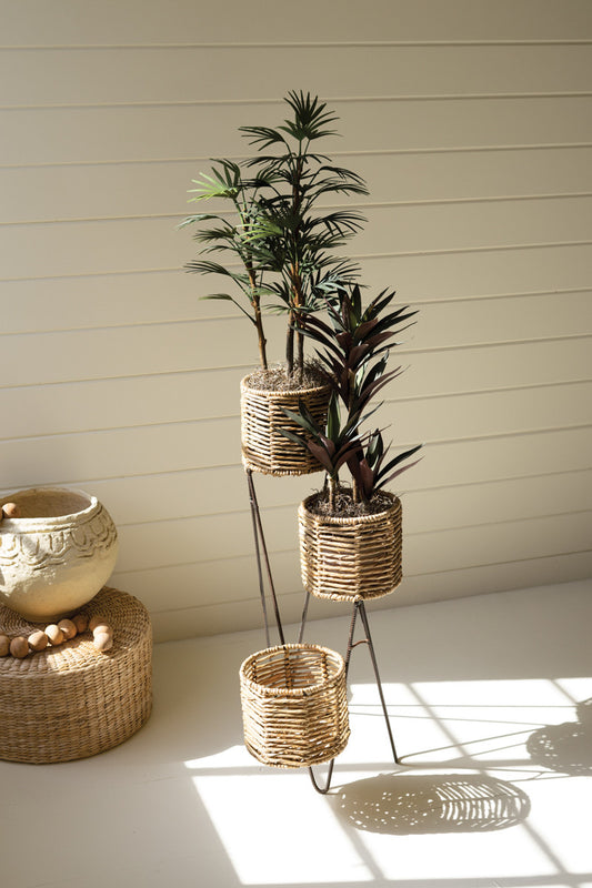 THREE TIERED SEAGRASS PLANT STAND