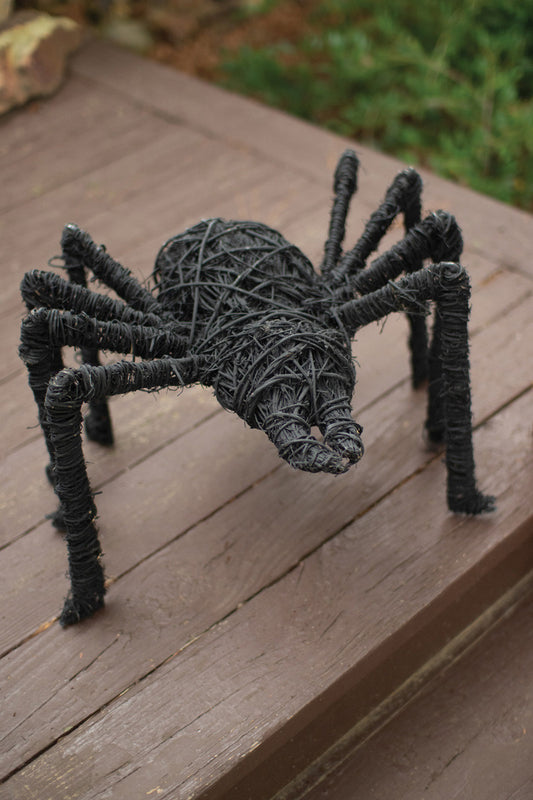 Black Painted Twig Spider