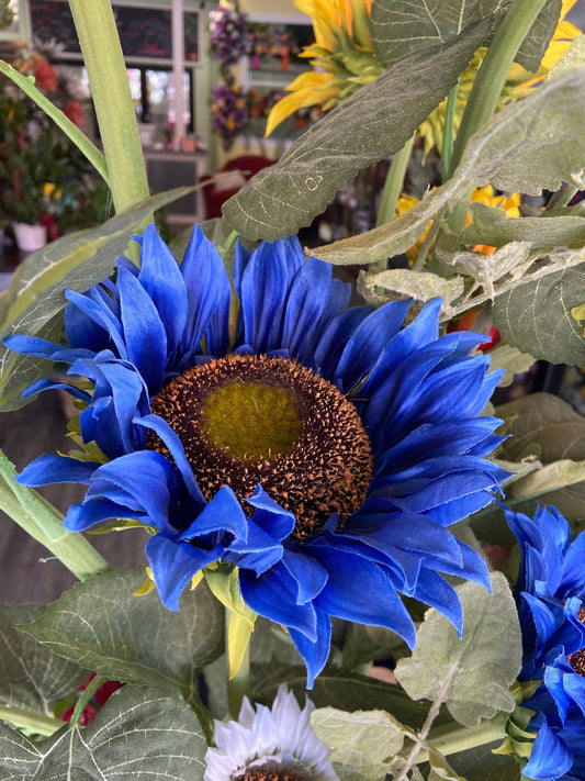 Blue Sunflowers