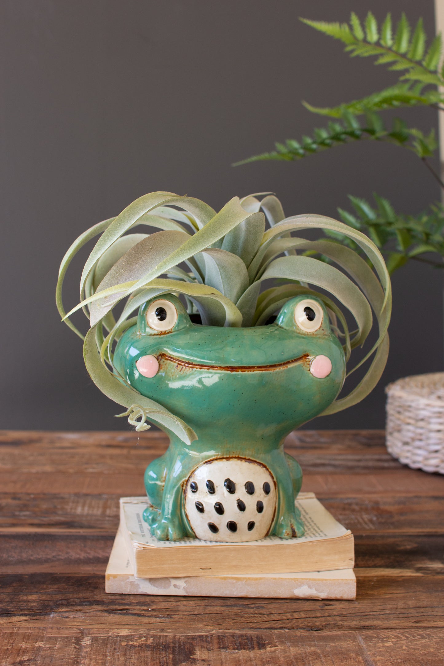 Ceramic Quirky Frog Planter