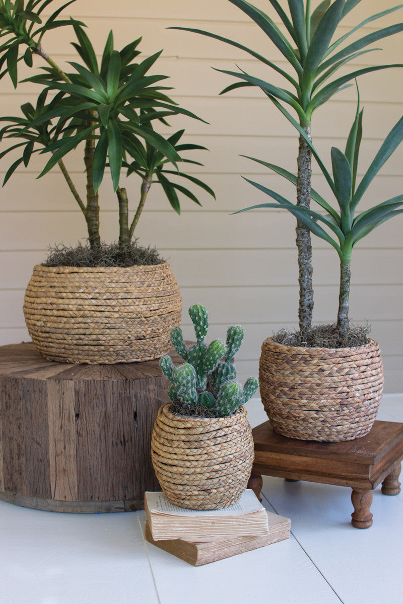 SET OF THREE WOVEN RUSH BASKETS WITH WOODEN FRAME