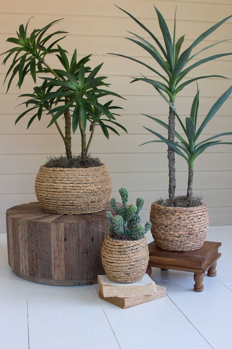 SET OF THREE WOVEN RUSH BASKETS WITH WOODEN FRAME