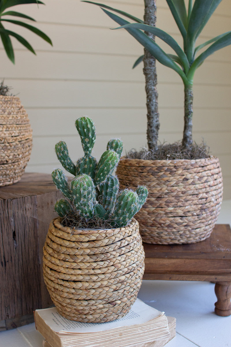 SET OF THREE WOVEN RUSH BASKETS WITH WOODEN FRAME