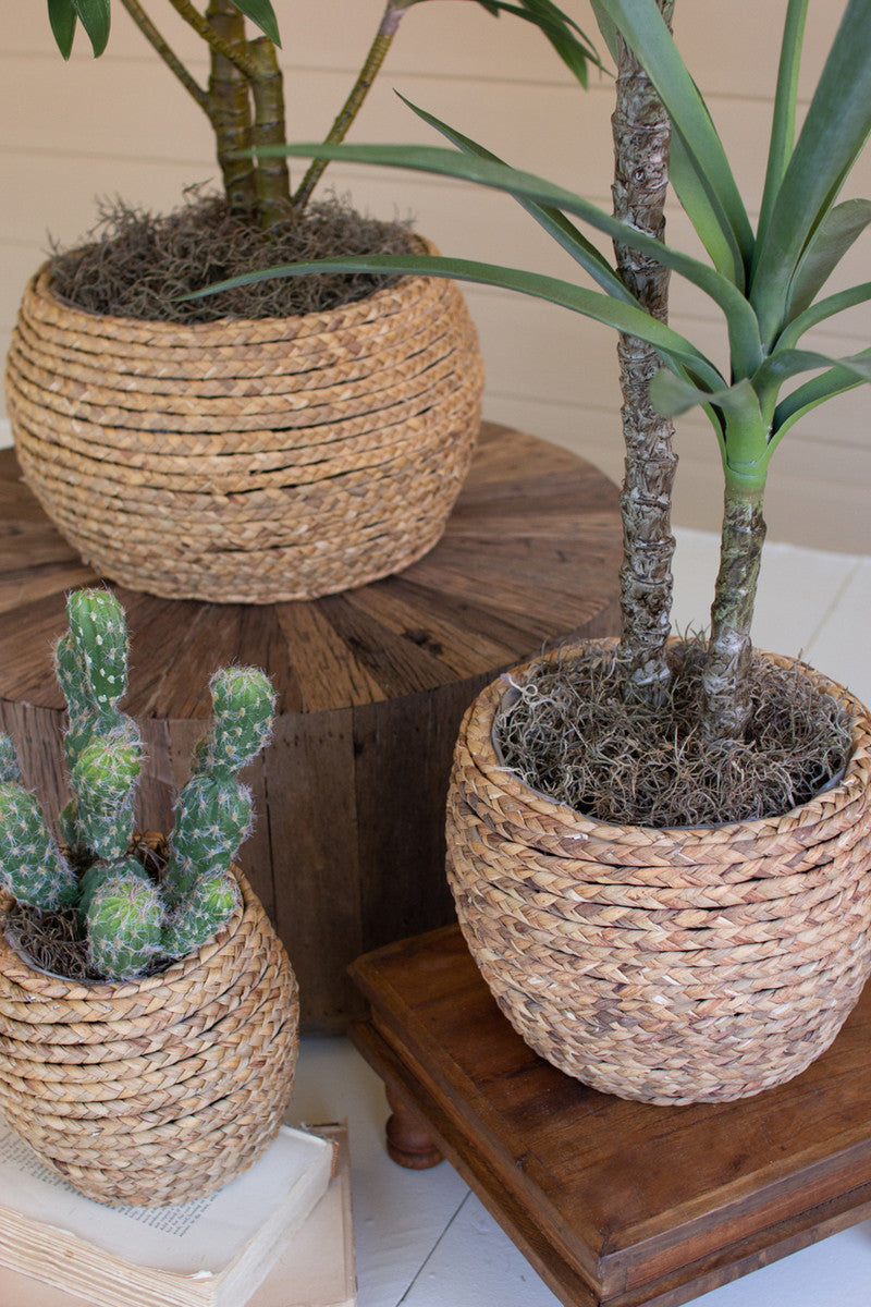 SET OF THREE WOVEN RUSH BASKETS WITH WOODEN FRAME