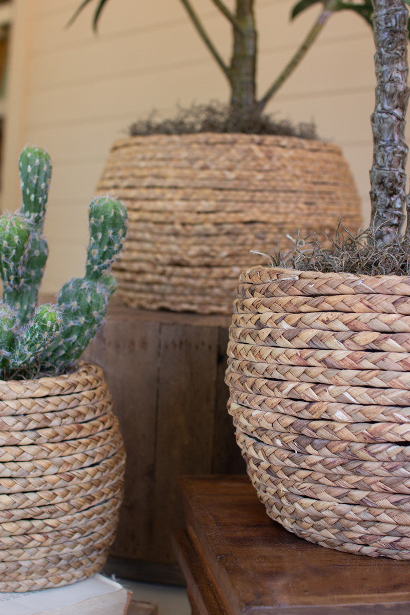 SET OF THREE WOVEN RUSH BASKETS WITH WOODEN FRAME