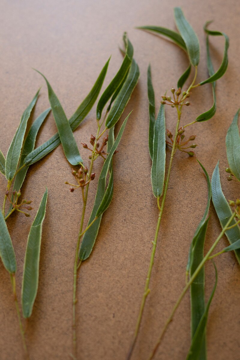 Artificial Seeded Eucalyptus Spray