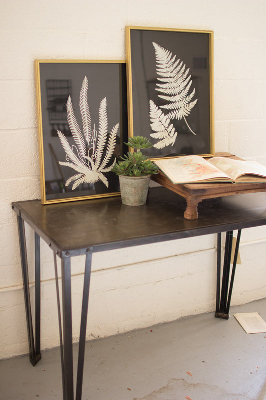 SET OF TWO BLACK AND WHITE FERN PRINTS UNDER GLASS