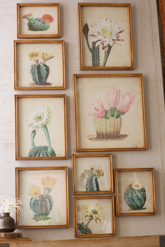 SET OF NINE CACTUS FLOWER PRINTS UNDER GLASS