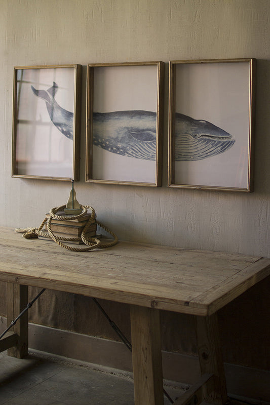 TRIPTYCH FRAMED WHALE PRINT UNDER GLASS