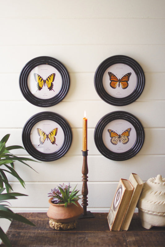 SET OF FOUR ROUND FRAMED BUTTERFLY PRINTS UNDER GLASS