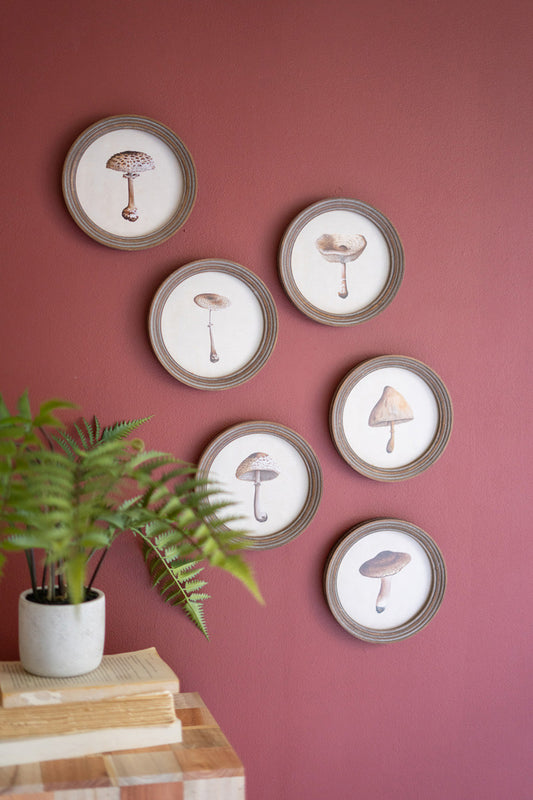 Set of 6 Round Framed Mushroom Prints under Glass