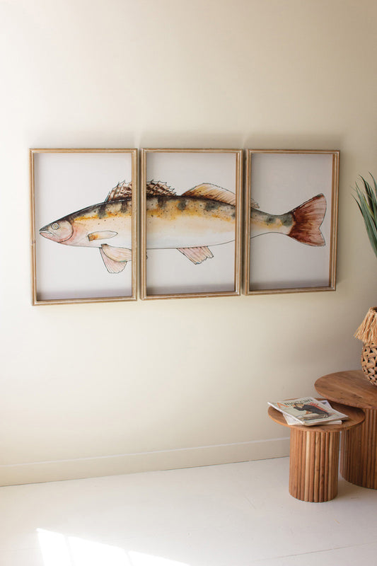 Triptych Trout Print under Glass