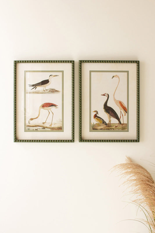 Set of 2 Bird Prints under Glass