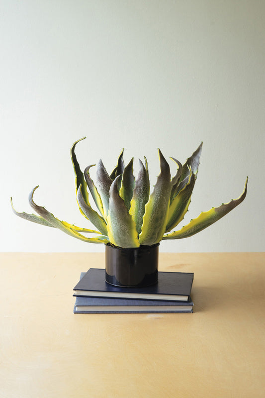 Artificial Agave in a Black Plastic Pot