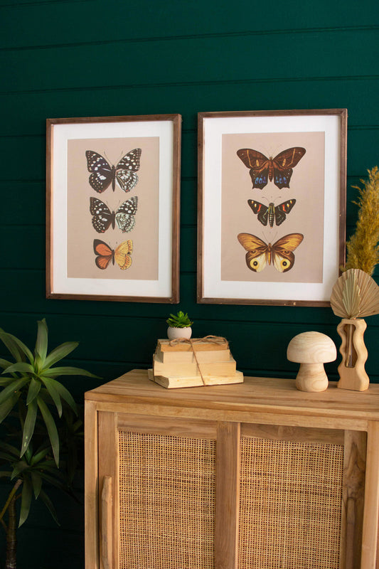 SET OF TWO FRAMED BUTTERFLY PRINTS UNDER GLASS