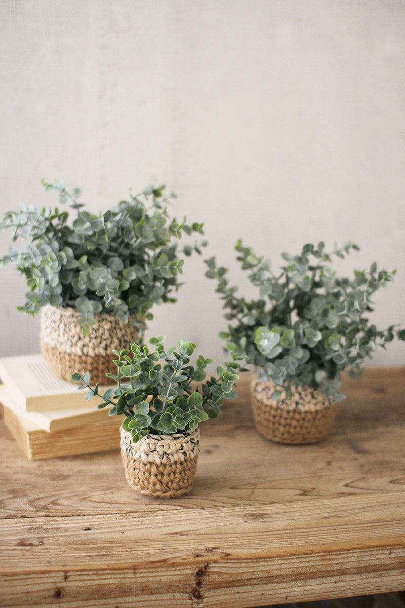 SET OF THREE ARTIFICIAL EUCALYPTUS PLANTS IN WOVEN POTS