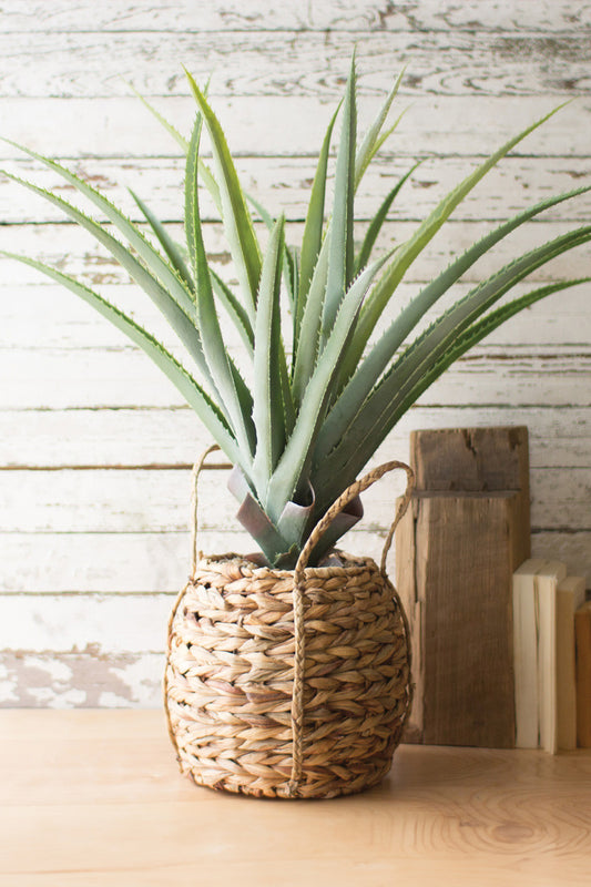 ARTIFICIAL ALOE IN A WOVEN SEAGRASS POT