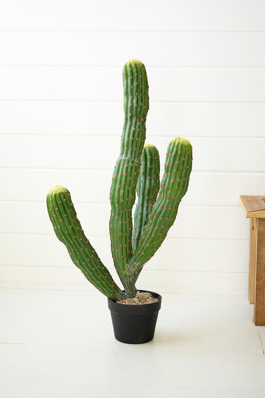 ARTIFICIAL MULTI TRUNK CACTUS IN A PLASTIC POT