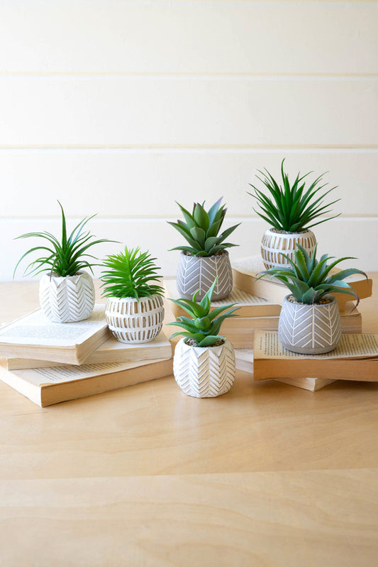 SET OF SIX ARTIFICIAL SUCCULENTS IN CEMENT POTS