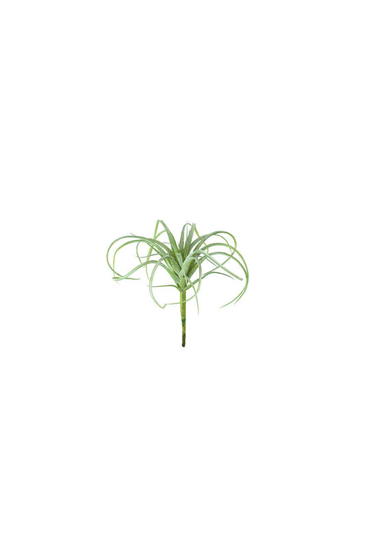 SMALL ARTIFICIAL AIR PLANT