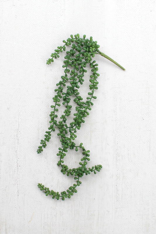 ARTIFICIAL NECKLACE FERN SUCCULENT