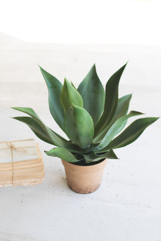 ARTIFICIAL AGAVE IN A FAUX TERRACOTTA POT