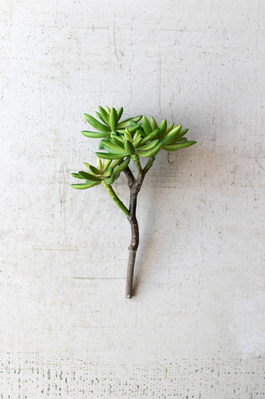 ARTIFICIAL SUCCULENT STEM