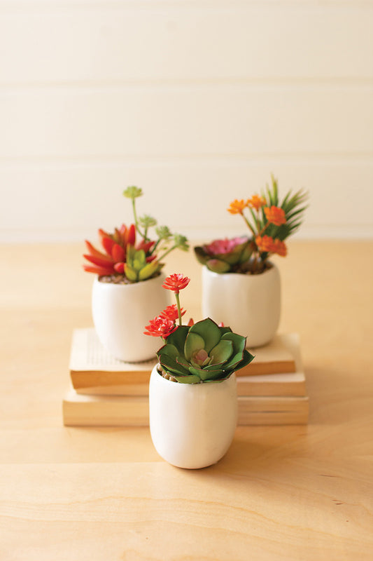 SET OF THREE ARTIFICIAL SUCCULENT PLANTS IN A WHITE POT