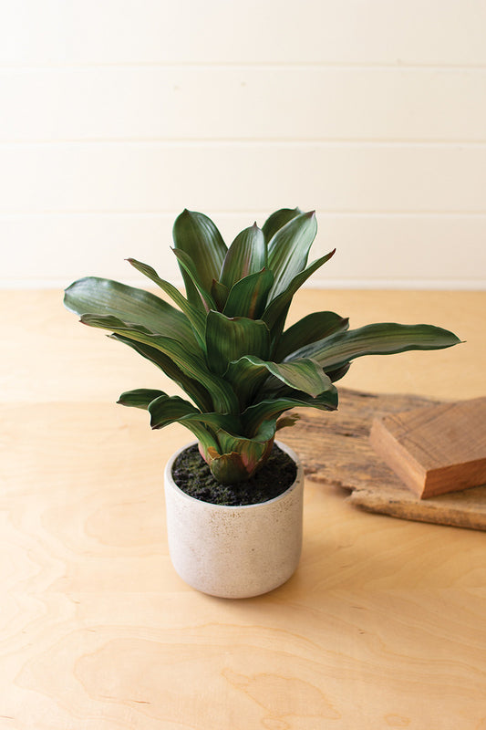 ARTIFICIAL SUCCULENT PLANT IN A CERAMIC POT