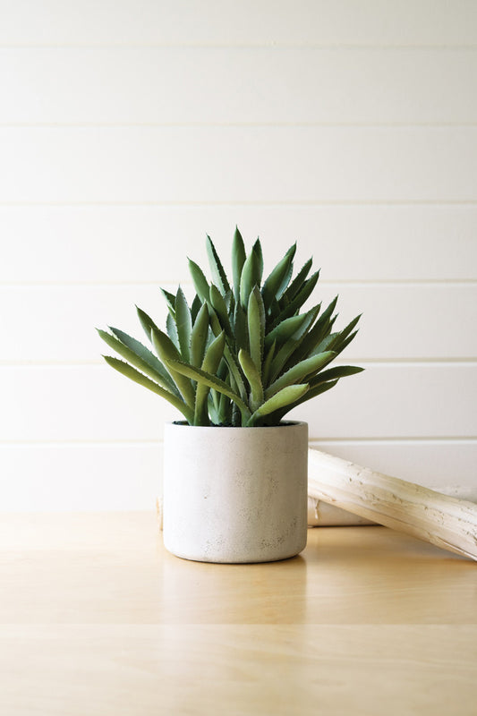 Artificial Aloe Succulent In a Cement Pot