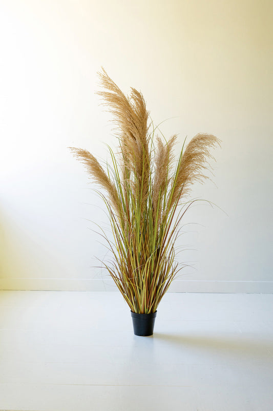 Artificial Pampas Grass in a Black Plastic Pot