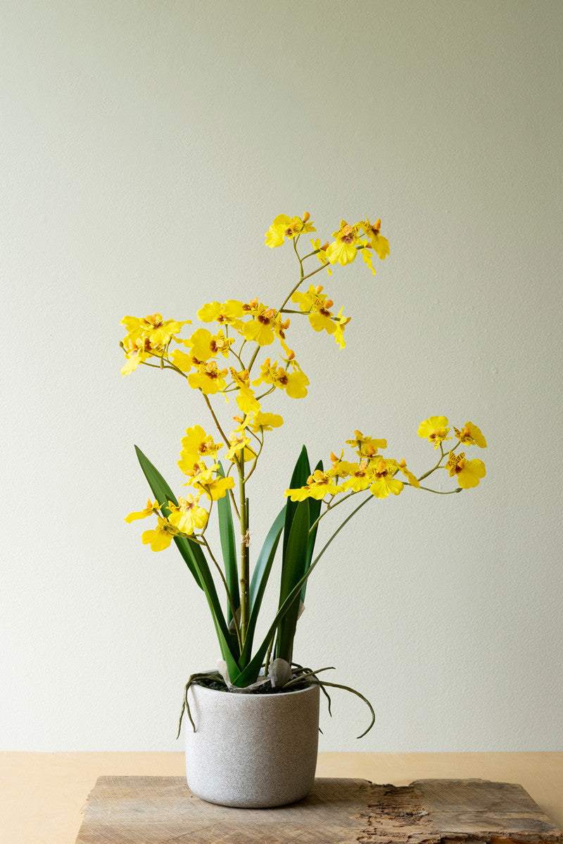 Artificial Yellow Oncidium Orchid in a Pot