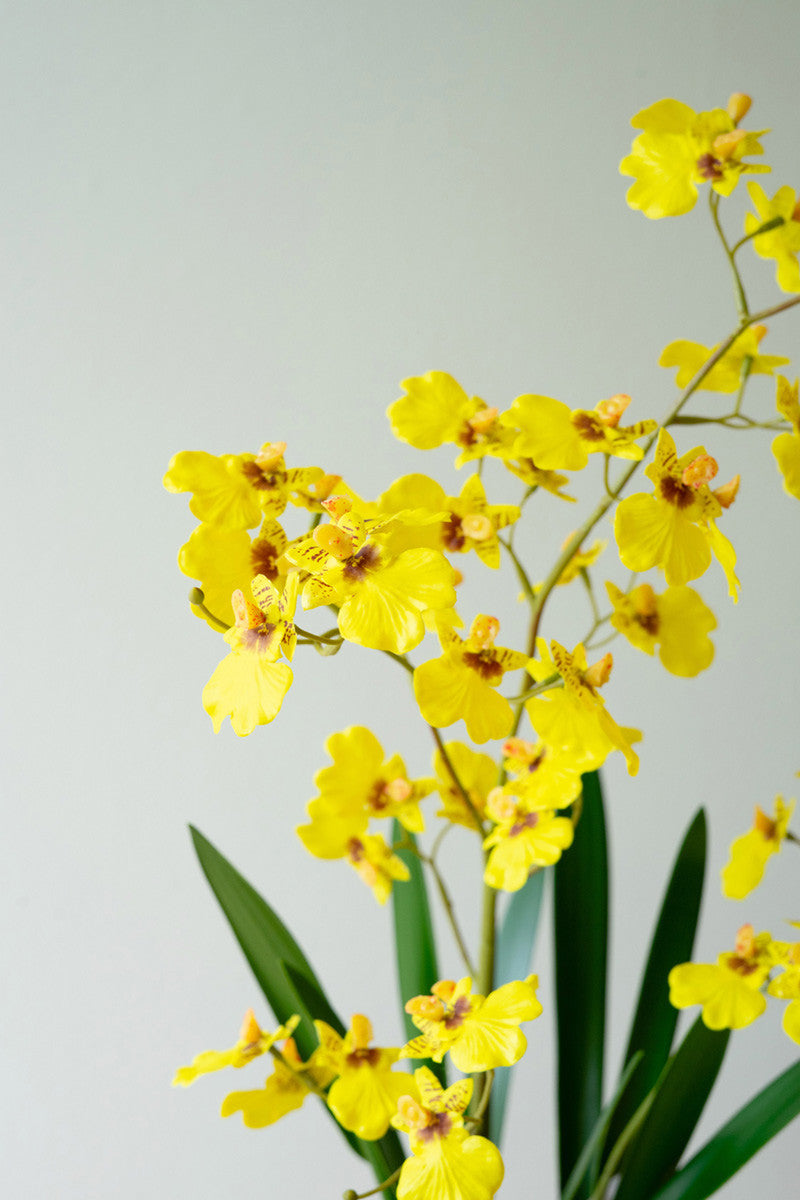 Artificial Yellow Oncidium Orchid in a Pot