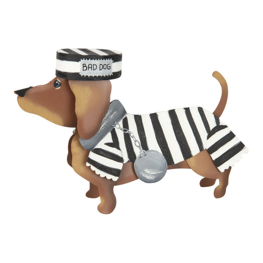 Dress-up Bad Dog Costume