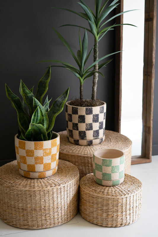 SET OF THREE CHECKERED CLAY PLANTERS WITH TRAYS