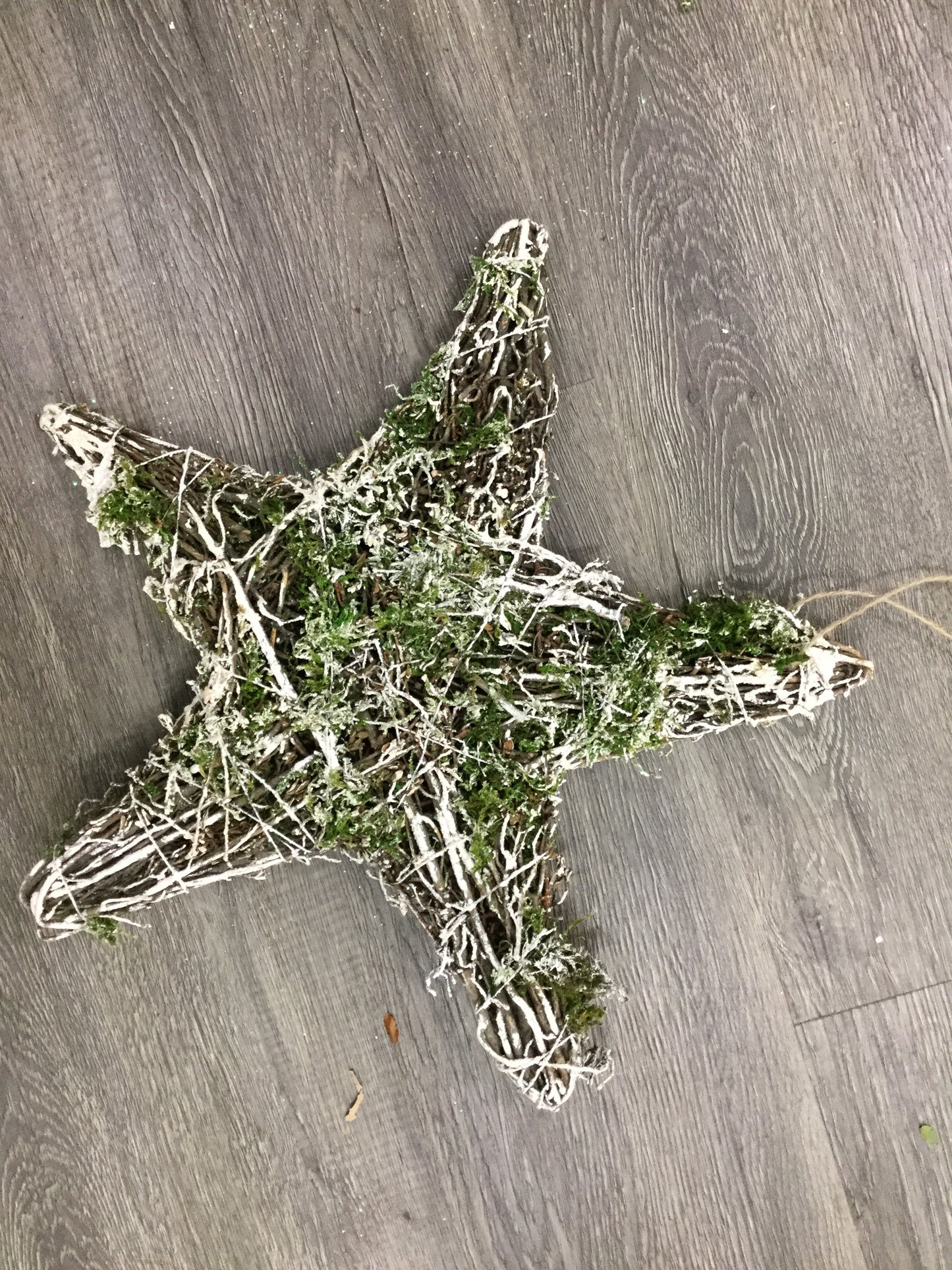 Large Willow Star