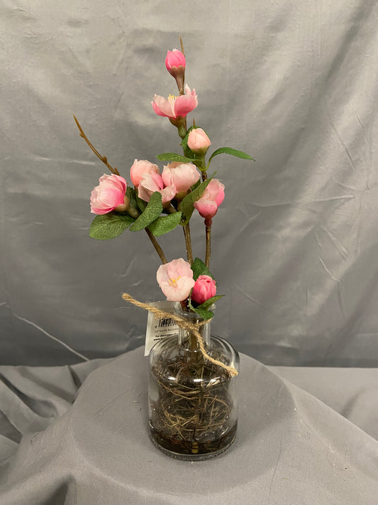 10" Plum Blossom in Glass Vase