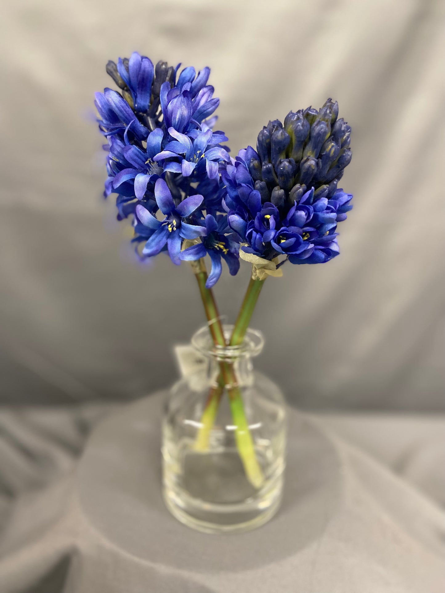 10.5" Blue Hyacinth in Glass Vase