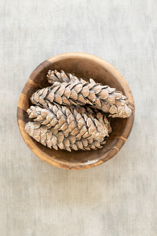 BAG OF SIX STROBUS PINE CONES - FROSTED WHITE