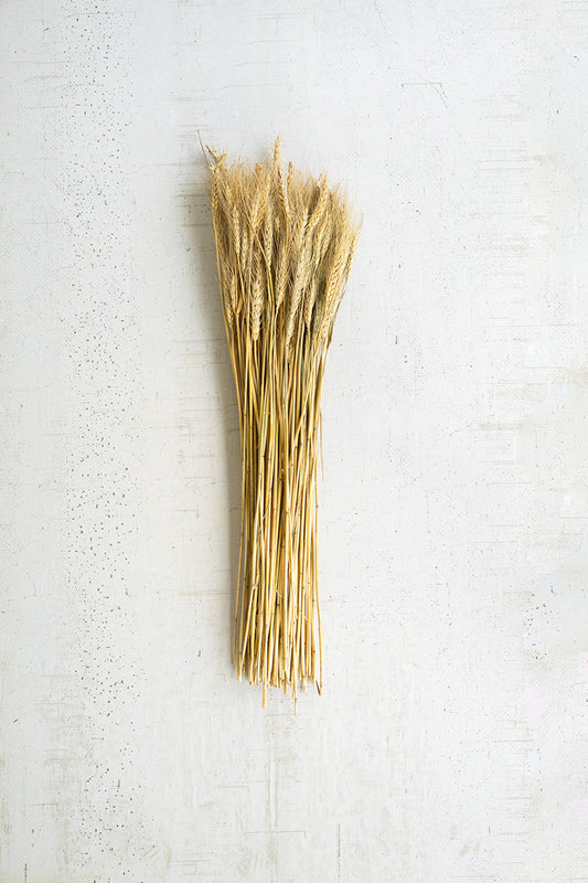 BUNDLE OF NATURAL WHEAT STEMS