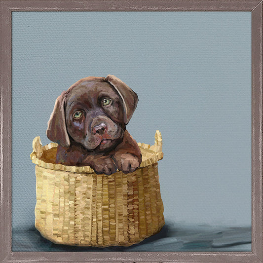 Chocolate Pup in Basket