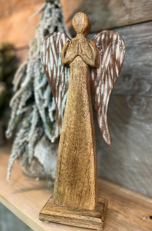 Angel With Striated Wings